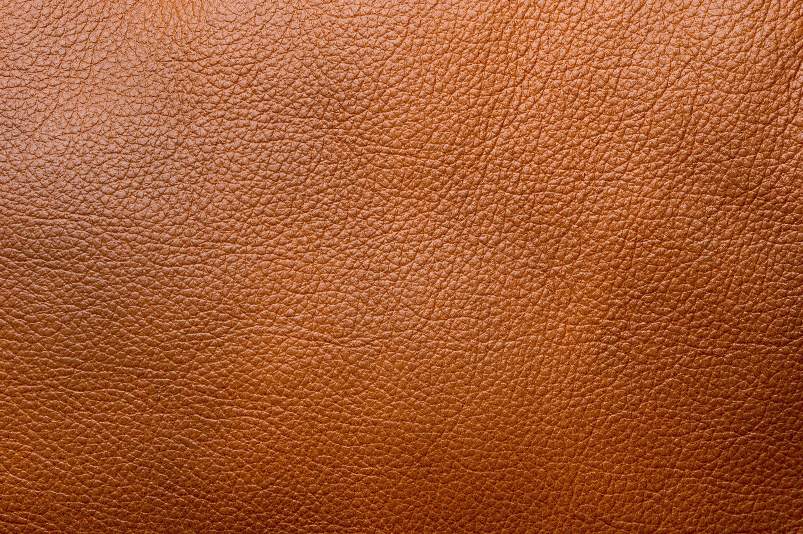 Wyzenbeek test on leather