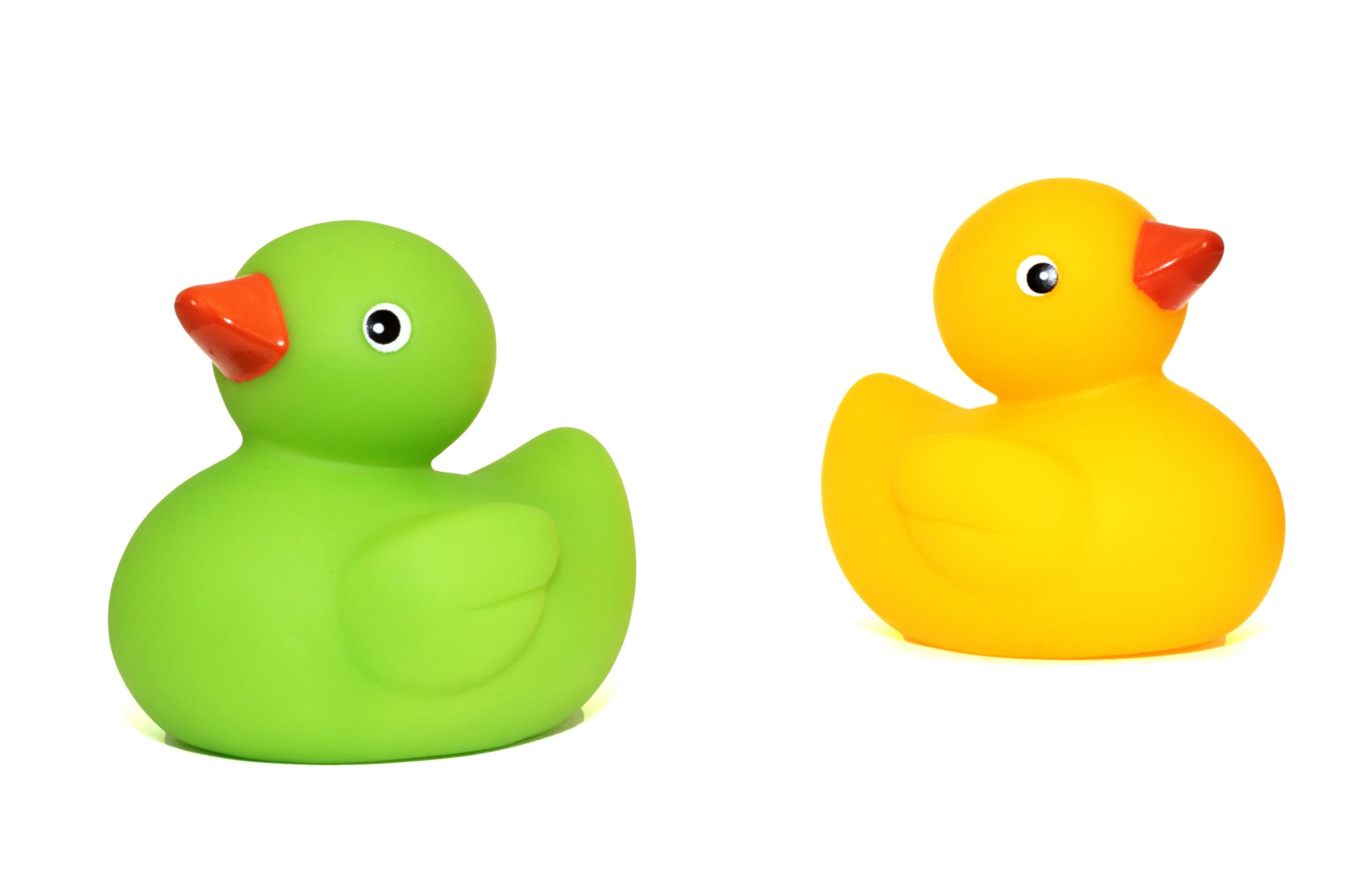 plastic rubber ducks